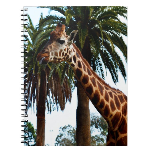 Funny Giraffe Raspberry, Notebook (Front)