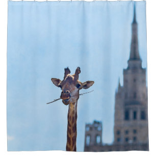 Funny Giraffe Shower Curtain