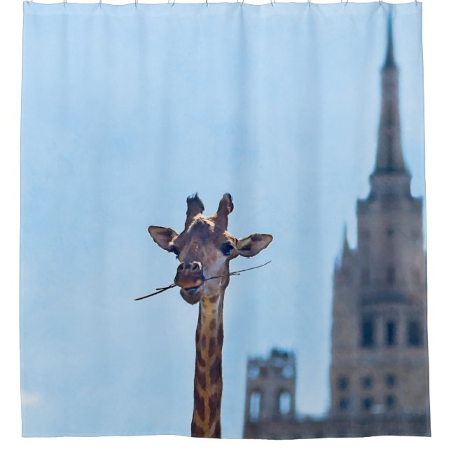 Funny Giraffe Shower Curtain (Front)