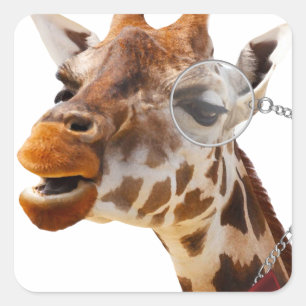 Funny Giraffe with Bowtie and Monocle Square Sticker