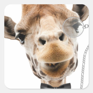 Funny Giraffe with Bowtie and Monocle Square Sticker