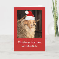 Funny Goat And Santa Hat Christmas