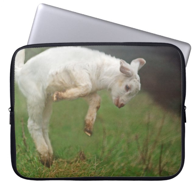 Funny Goat Baby White Goat Jumping in Pasture Laptop Sleeve (Front)