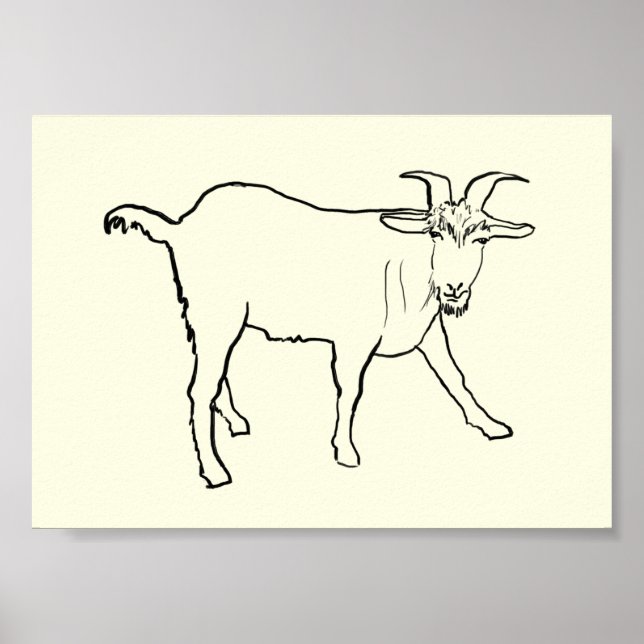 Funny Goat Drawing Quirky Cartoon Farm Animal Art Poster (Front)