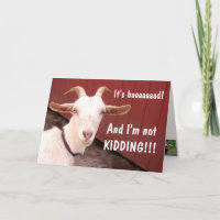 Funny Goat It's Baaaaad Get Well