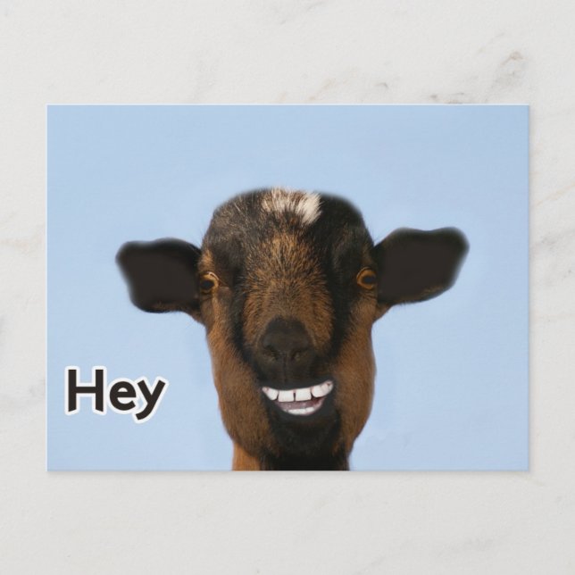Funny Goat Meme Smiling Really Big Postcard (Front)