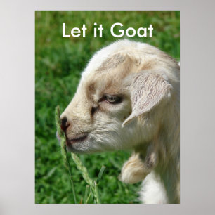 Funny Goat Parody, Cute Goat Kid Poster