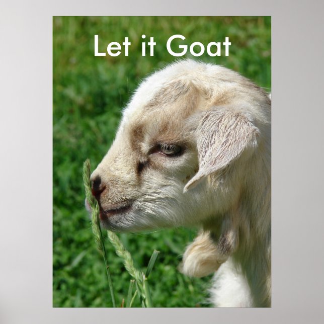Funny Goat Parody, Cute Goat Kid Poster (Front)