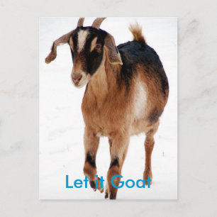Funny Goat Parody Postcard