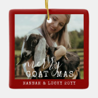 Funny Goat Personalised Photo Farm Pet Christmas