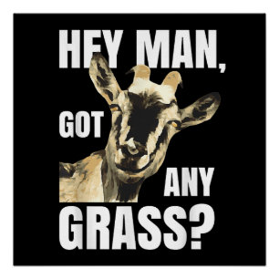 Funny Goat Pun Farm Animal Meme Gift for Goat Love Poster
