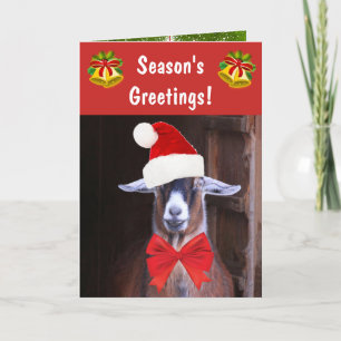 Funny Goat Season's Greetings Holiday Card