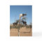 Funny goats in a tree