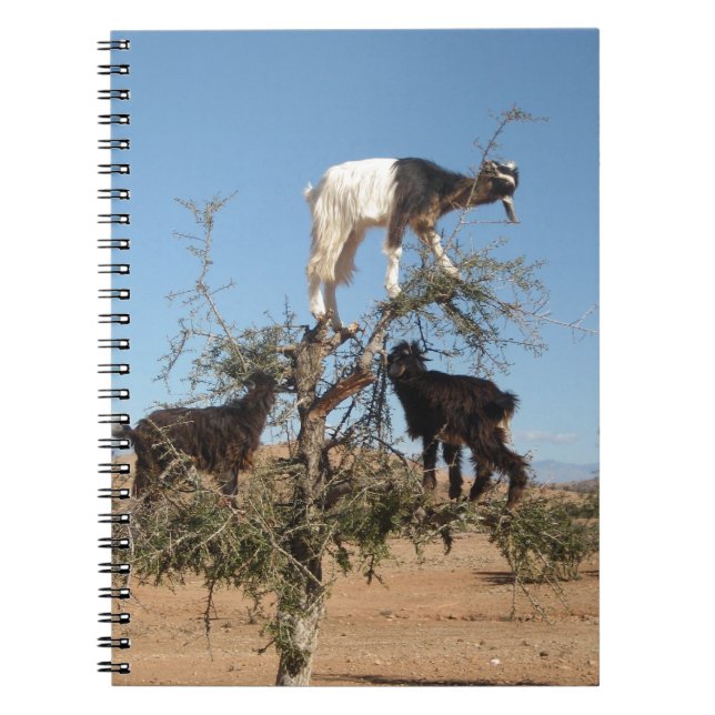 Funny goats in a tree notebook (Front)