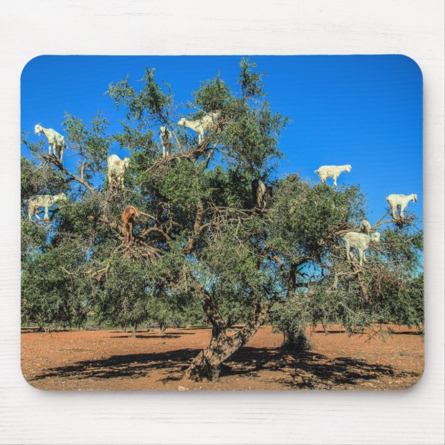 Funny Goats in Trees Morocco Mouse Mat (Front)