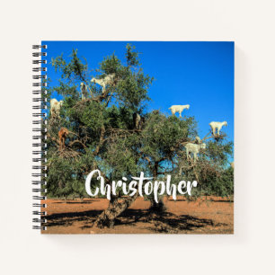 Funny Goats in Trees Morocco Personalised Name Notebook