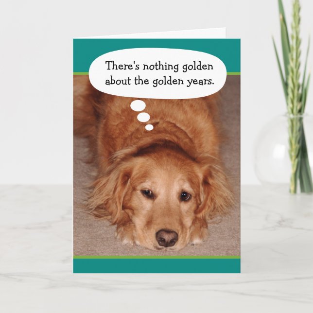 Funny Golden Oldie Golden Retriever Birthday Card (Front)