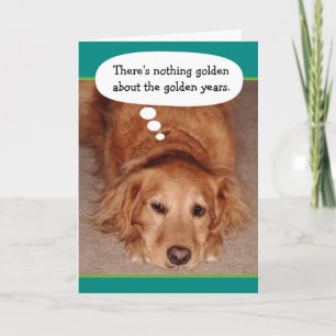 Funny Golden Oldie Golden Retriever Birthday Card