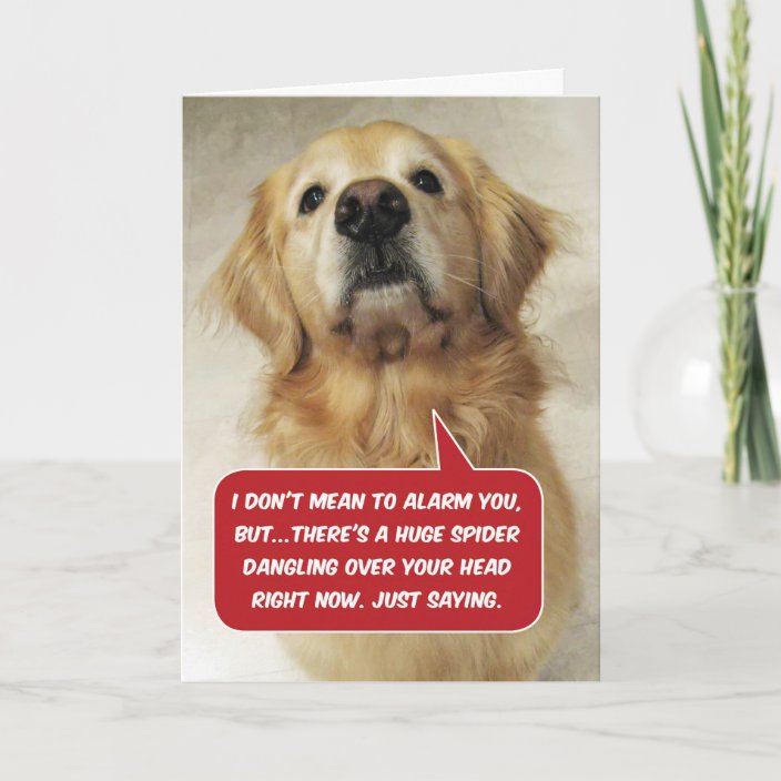 Funny Golden Retriever Arachnophobia Birthday Card Zazzle co uk