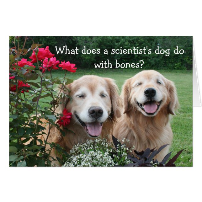 Funny Golden Retriever Barium Scientist Joke (Front Horizontal)