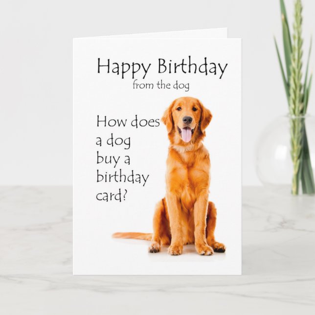 Funny Golden Retriever Birthday Humour Card (Front)