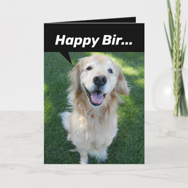 Funny Golden Retriever Distracted By Squirrel Card (Front)