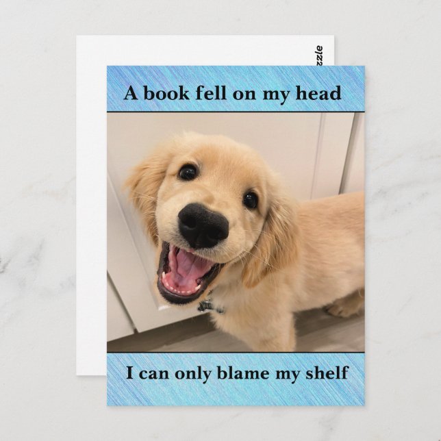 Funny Golden Retriever Dog Book Shelf Joke Meme Postcard (Front/Back)
