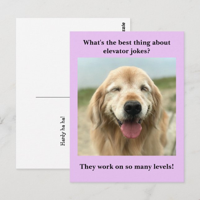 Funny Golden Retriever Dog Elevator Joke Postcard Zazzle