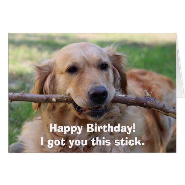 Funny Golden Retriever Dog Humour Happy Birthday (Front Horizontal)