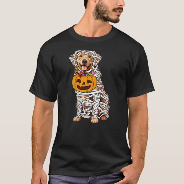 Funny Golden Retriever Dog Mummy Halloween Pumpkin T-Shirt (Front)