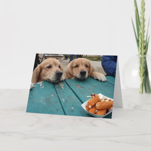 Funny Golden Retriever Dogs Birthday Wishes Card (Front)