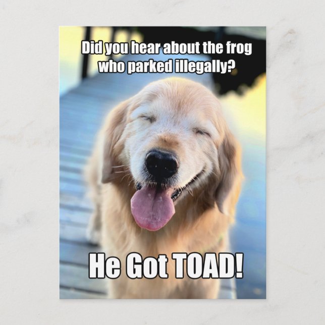 Funny Golden Retriever Frog Joke Meme Postcard (Front)