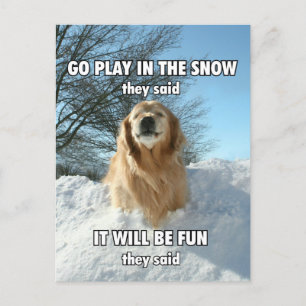 Funny Golden Retriever Go Play in the Snow Meme Postcard
