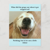 Funny Golden Retriever Grape Joke Meme