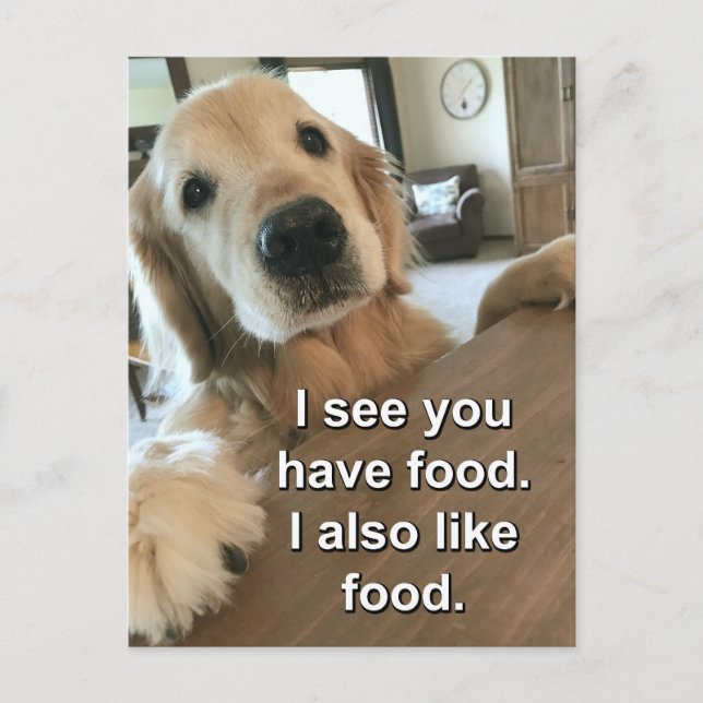 Funny Golden Retriever  I See You Have Food Meme Postcard (Front)