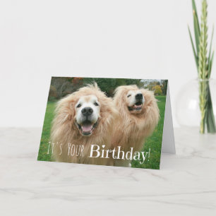 Funny Golden Retriever Lion Dogs Birthday Card