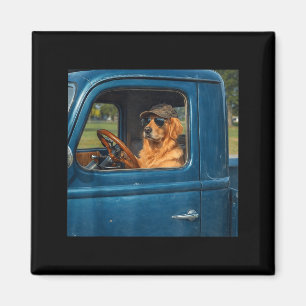 Funny golden retriever meme dog driving vintage magnet