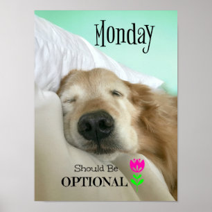 Funny Golden Retriever Monday Should be Optional Poster