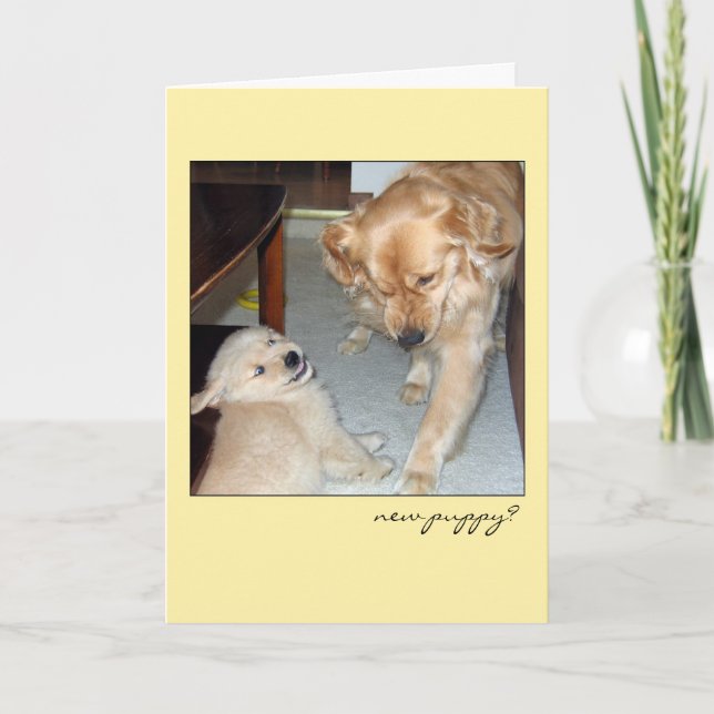 Funny Golden Retriever New Puppy Card (Front)