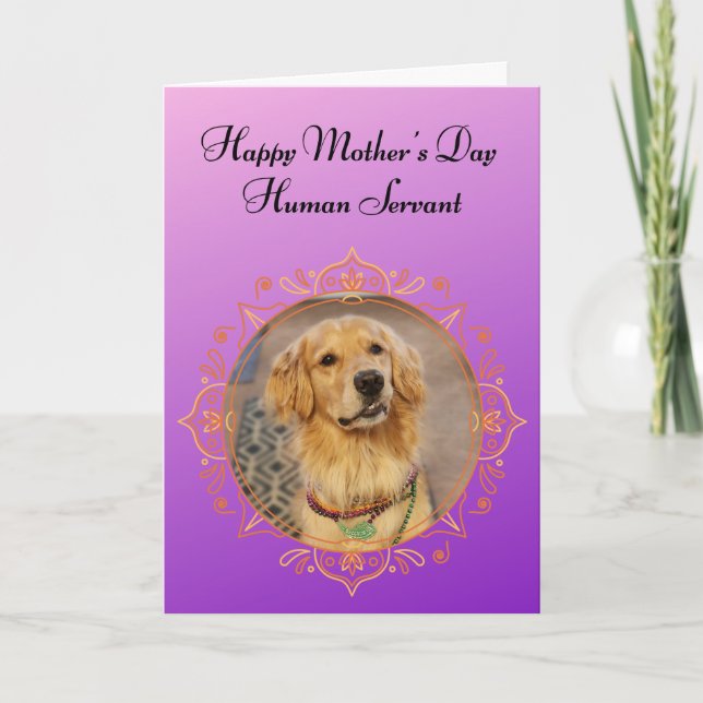 Funny Golden Retriever Superior Being Mother's Day Card (Front)