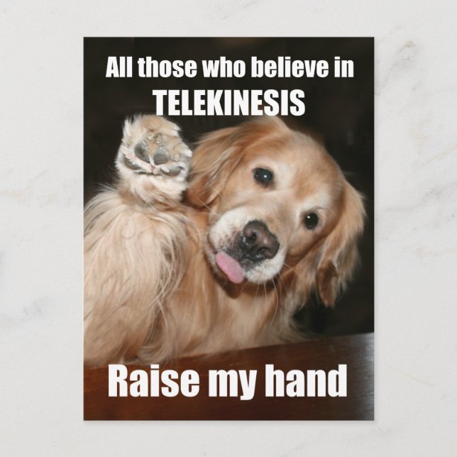 Funny Golden Retriever Telekinesis Joke Postcard (Front)