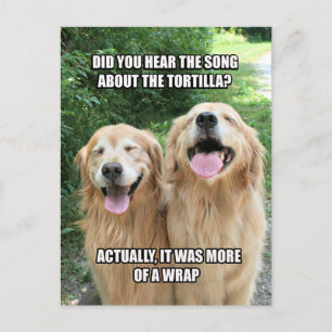 Funny Golden Retriever Tortilla Joke Meme Postcard