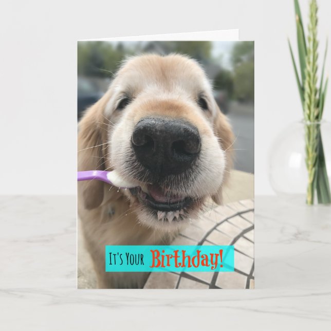 Funny Golden Retriever Treat Yo Self Birthday Card (Front)