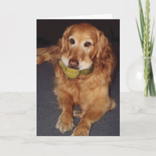 Funny Golden Retriever with Balls Birthday Card