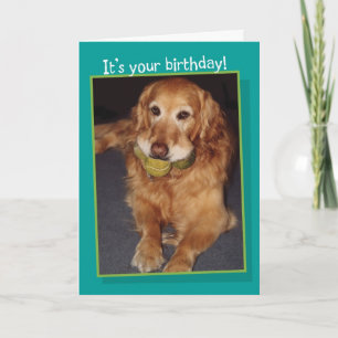 Funny Golden Retriever with Balls  Birthday Card