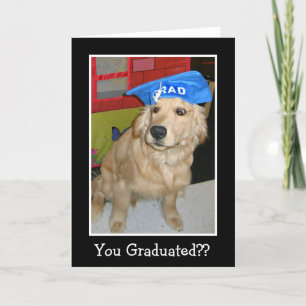 Funny Golden Retriever You Graduated Graduation Card