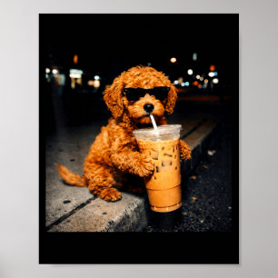 Funny goldendoodle drinking iced coffee animal mem poster