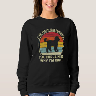 Funny Goldendoodle For Boys Kids Men Doodle Labrad Sweatshirt