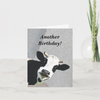 Funny Good News Cow Age Birthday