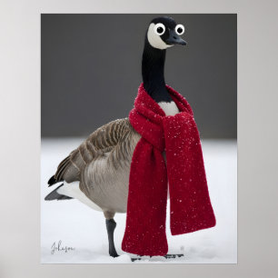 Funny Goose with Red Scarf Winter Personalised  Poster